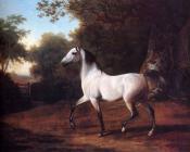 雅克 劳伦特 阿加斯 : 一只灰色的阿拉伯种马在树林里